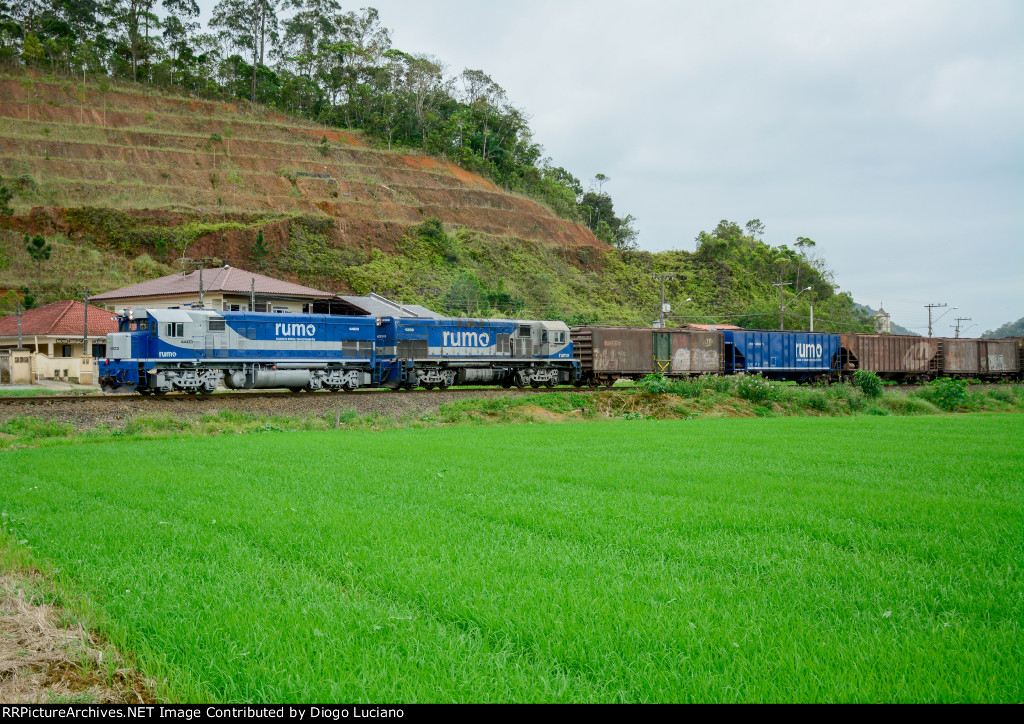 Linha São Francisco do Sul - km63